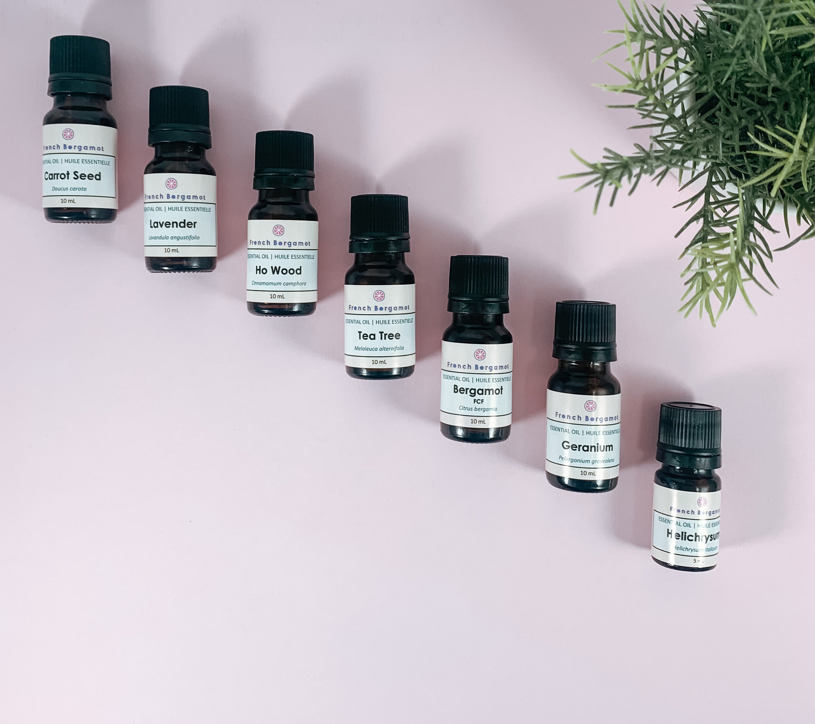 Essential Oils