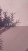 botanical oil viscosity