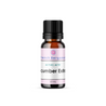 Cucumber Extract