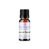 Coconut Paradise Natural Fragrance